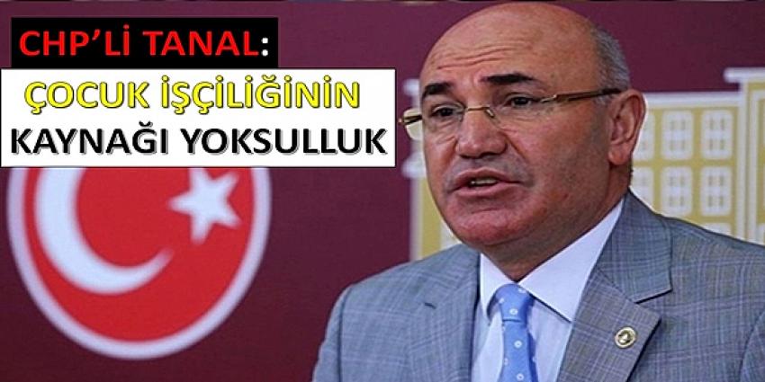 Vekil Tanal'dan Çocuk İşleri İçin Tepki