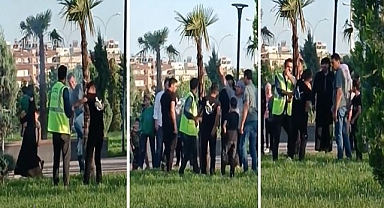 Urfa'da bir çocuk ağacı ateşe verdi