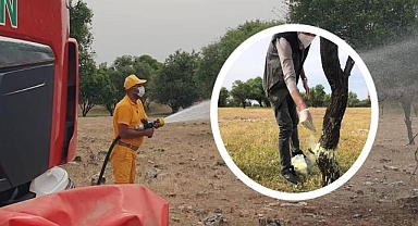 Hilvan Badem Ormanında ilaçlama çalışması yapıldı
