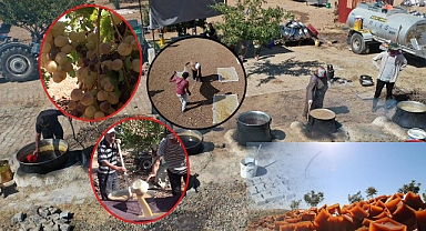 Hilvan Hasenik Pestil'inin coğrafi işaretli alındı 