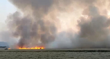 Şanlıurfa'da ekili arazide büyük yangın! 