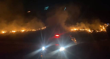Şanlıurfa'da orman yangını! Çok sayıda ekip sevk edildi