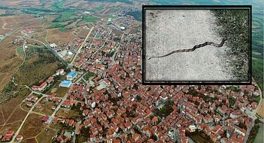 O ilçeyi yılanlar istila etti: Vatandaşlar tedirgin!