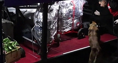 Urfa'da hafta sonu jandarma denetimi: 17 araç trafikten men edildi!