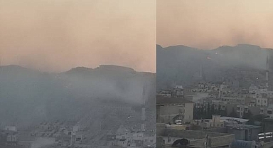 Urfa'da Ormanlık Alanda Yangın! İtfaiye Sevk Edildi