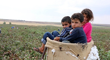 Harran Üniversitesi'nden Mevsimlik Çocuklara Eğitim Seferberliği