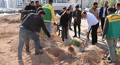 Karaköprü'de Yeşil Devrim: Ağaçlandırma Kampanyası Başladı!