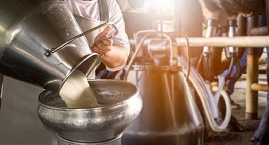 Süt Üreticilerine Müjde: Çiğ Süt Primi Yüzde 100 Arttı!