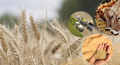 Tarım ve Orman Bakanlığı'ndan Çiftçilere 509 Milyon TL Destek Ödemesi