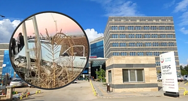 Şanlıurfa'da Feci Kaza! Kontrolden Çıkan Araç Elektrik Direğine Çarptı