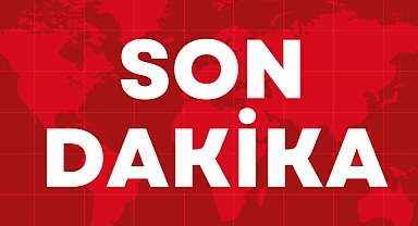 Urfa'da Otomobilin Çarptığı Bir Kadın Hayatını Kaybetti 