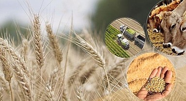 Çiftçilere 2,3 Milyar TL’lik Destek Ödemesi Müjdesi!