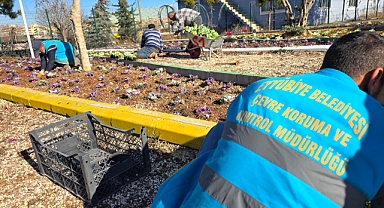 Eyyübiye Belediyesi, Parkları Ürettiği Fidanlarla Yeniden Şekillendiriyor!
