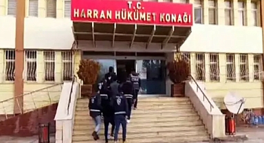 Harran’da Telefon Dolandırıcılarına Suçüstü! Milyonluk Vurgun Engellendi
