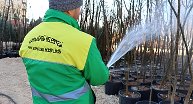 Karaköprü’de Yeşil Alanlar İçin Yerli Fidan Üretimi Başladı!