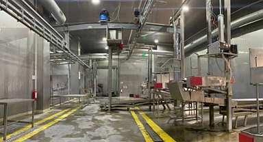 Kesimhanelere Kamera Zorunluluğu Getiriliyor!