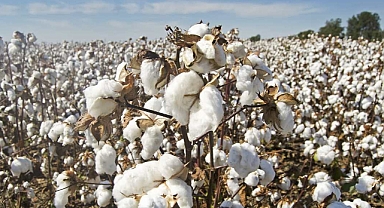 ÇKS Tarihleri Açıklandı! Çiftçilerin Dikkat Etmesi Gereken Kurallar