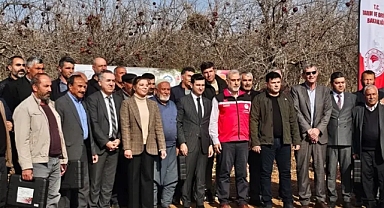 GAP Destekli Proje Hayata Geçti! Bozova’da Çiftçilere Budama Eğitimi