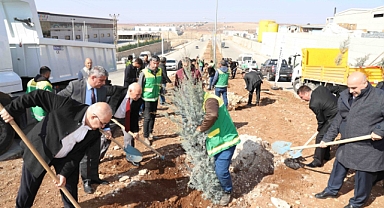 Karaköprü’ye Doğal Dokunuş! Yeni Fidanlar Toprakla Buluştu