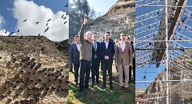 Şanlıurfa'da Kelaynaklar Doğaya Salındı! Vali Şıldak'tan Çevreye Destek