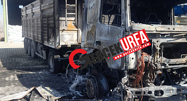 Şanlıurfa'da Korkutan Yangın! TIR Alev Alev Yandı