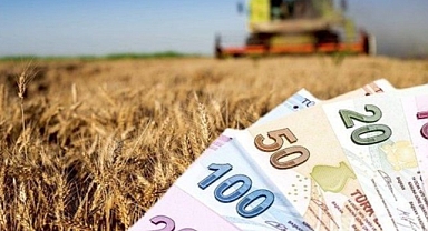 Tarımsal Destek Ödemeleri Başladı! 2.1 Milyar TL Çiftçilerin Hesabında