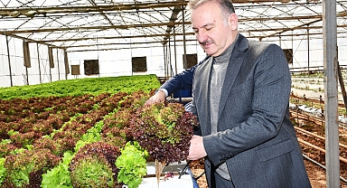 Harran Üniversitesi’nde Yenilikçi Tarım Hamlesi! Hasat Zamanı
