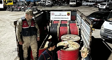 Jandarma, Şanlıurfa'da 6 Milyon TL’lik Hırsızlık Çetesini Çökertti