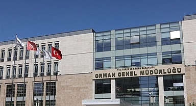 Orman Genel Müdürlüğü, 4.500 İşçi Alımı Yapacak!