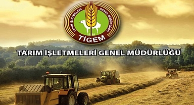 TİGEM, Çeşitli Pozisyonlar İçin 306 İşçi Alacak