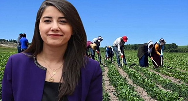 Vekil Dilan Kunt Ayan, Kadın İstihdamını Meclis'e Taşıdı