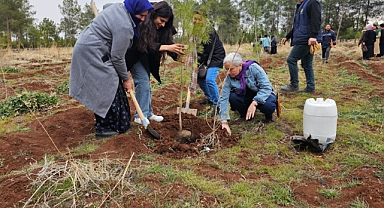 Viranşehir’de Kadınlar 8 Mart İçin Ağaç Dikimi Yaptı