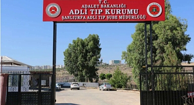 Şanlıurfa’da Feci Kaza! Aniden Yola Çıkan İnek, Sürücünün Hayatına Mal Oldu