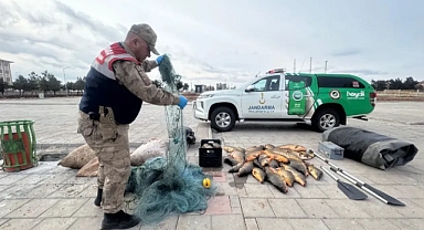 Şanlıurfa'da Kaçak Balık Avcılığına Karşı Sert Müdahale! Rekor Ceza