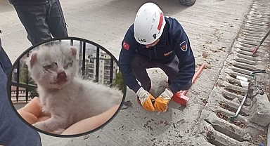 Şanlıurfa'da Mazgala Düşen Yavru Kedi, İtfaiye Ekiplerince Kurtarıldı!