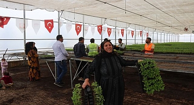 Urfa Biberi Tarlaya Dönüyor! Büyükşehir’den Çiftçiye Fide Desteği