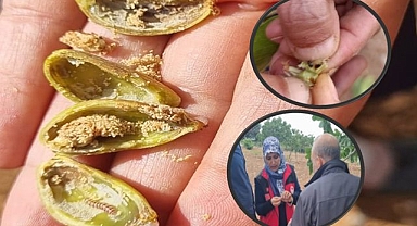 Alo Ziraat Doktorum Ekibi, Şanlıurfalı Çiftçilere Anında Destek Sunuyor!