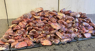 Şanlıurfa'da 1,7 Ton Kaçak ve Sağlıksız Et Ele Geçirildi