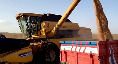 Şanlıurfa'da Buğday Rekor Kırdı, Üretici Taban Fiyat Bekliyor
