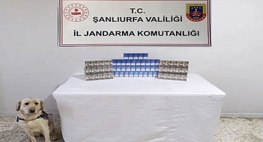 Şanlıurfa'da Jandarma Kaçakçılara Göz Açtırmadı Yüzlerce Kaçak Sigara Yakalandı!