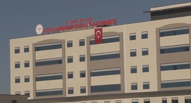 Şanlıurfa’da Trafik Can Aldı! Yaya Çarpan Sürücü Gözaltına Alındı