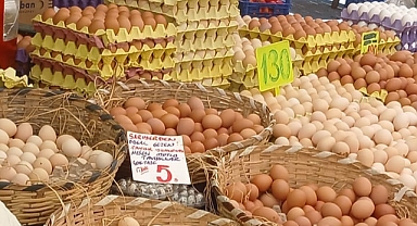 Şanlıurfa'da Yumurta Fiyatları Uçtu! Satıcılar ve Tüketiciler Memnun