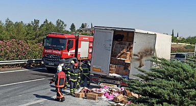 Şanlıurfa-Mardin Yolunda Tır Alev Aldı, Facia Son Anda Önledi!