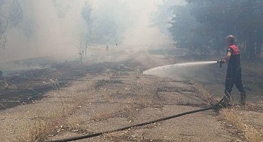 Şanlıurfa'nın Bozova İlçesinde Orman Yangını Kısa Sürede Söndürüldü!