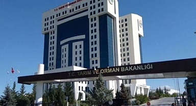 Tarım ve Orman Bakanlığı’ndan Çiftçilere 5,1 Milyar TL Destek Ödemesi
