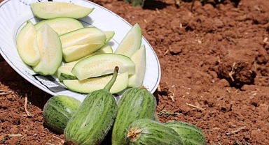 Türkiye’ye Özel Şelengo Meyvesi Tezgahlarda!