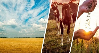 Üreticiye Müjde! Devlet Desteği Hesaplarda