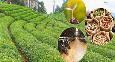 5.5 Milyar Liralık Tarımsal Destek Çiftçilerin Hesaplarında!