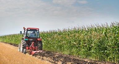 Hesaplara Para Yattı! 262 Milyon TL Tarım Desteği Verildi