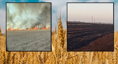 Şanlıurfa’da Çiftçinin Emeği Alevlere Teslim Oldu!